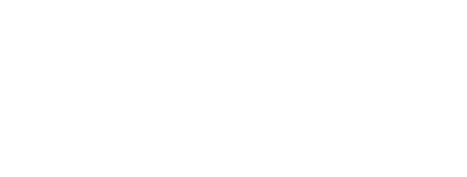 dish mexico