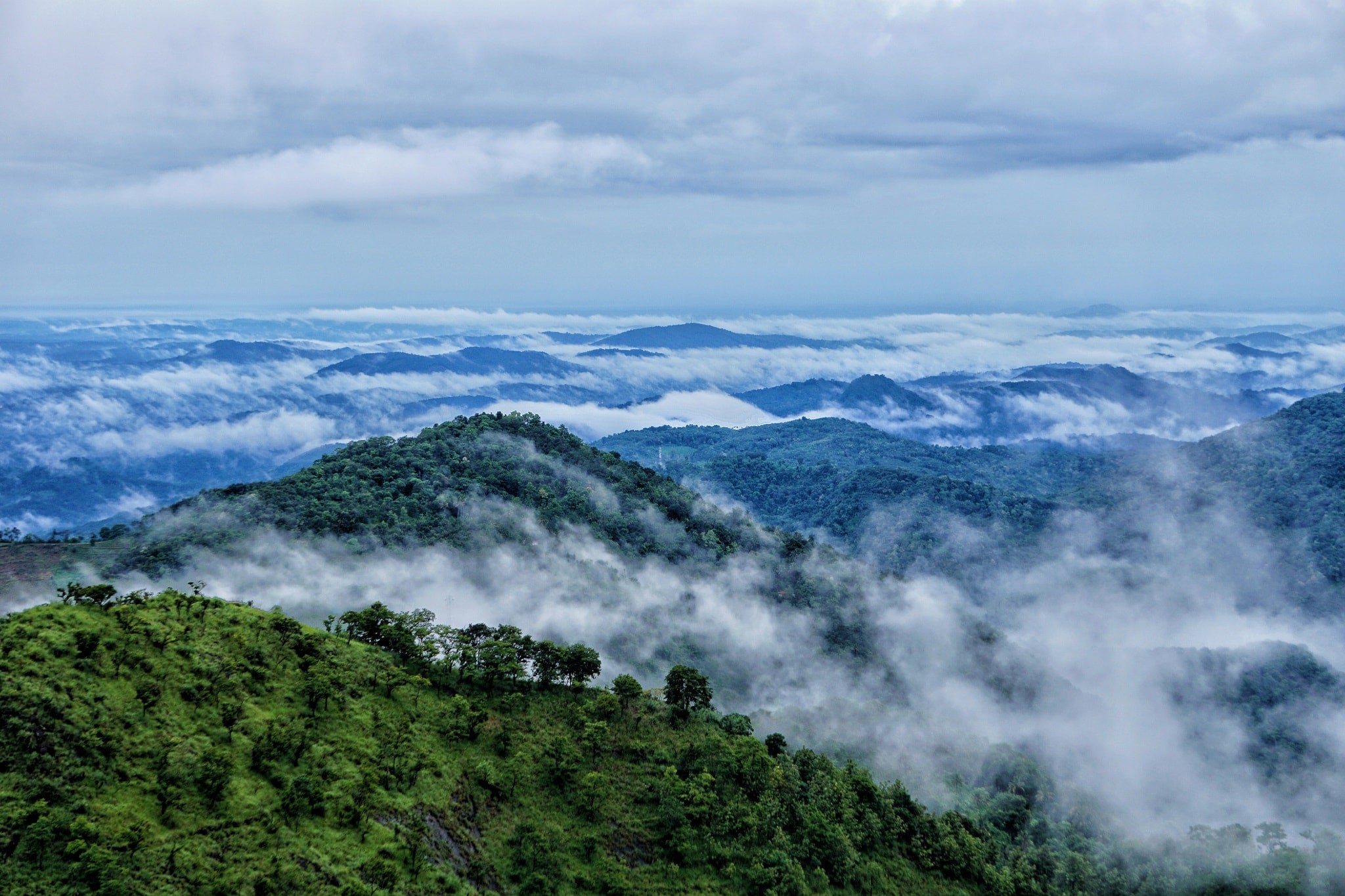 wayanad office sulthan bathery